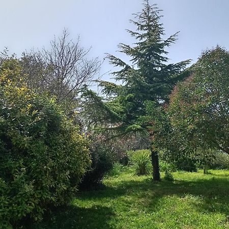 诺托Boschetto Segreto别墅 外观 照片